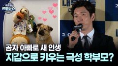 조승우, 곰자 아빠로 새 인생…지갑으로 키우는 극성 학부모?