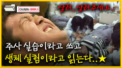 [다시보는 하바나] 주사 실습이라고 쓰고 생체 실험이라고 읽는다..│111008 방송