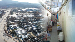 비닐하우스 사이로 칼바람…꿀벌마을, 혹독한 겨울나기