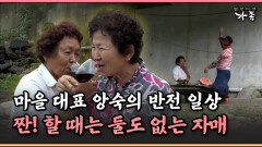 [멜로다큐 ‘가족’ 385-4] 마을 대표 앙숙의 반전 일상, 짠! 할 때는 둘도 없는 자매