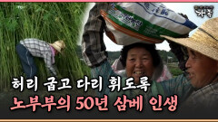 [멜로다큐 ‘가족’ 389-1] 허리 굽고 다리 휘도록…노부부의 50년 삼베 인생