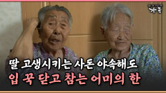 [멜로다큐 ‘가족’ 391-3] 딸 고생시키는 사돈 야속해도 입 꾹 닫고 참는 어미의 한