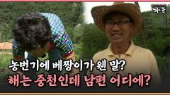 [멜로다큐 ‘가족’ 387-1] 농번기에 베짱이가 웬 말? 해는 중천인데 남편 어디에?