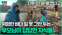 [다큐 ‘가족’ 368회 3부] 단돈 만 원 벌겠다고 위험한 바다 일 못 그만 두는 부모님이 답답한 자식들