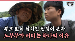 [멜로다큐 ‘가족’ 392-3] 부모 없이 남겨진 핏덩이 손자, 노부부가 버티는 하나의 이유