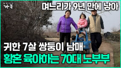 [다큐 ‘가족’ 363회 1부] 며느리가 9년 만에 낳아 귀한 7살 쌍둥이 남매 황혼 육아하는 70대 노부부