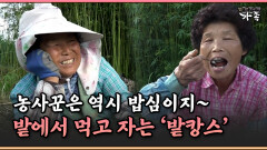 [멜로다큐 ‘가족’ 389-2] 농사꾼은 역시 밥심이지~ 밭에서 먹고 자는 ′밭캉스′