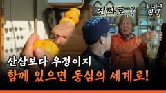 [로드다큐 만남 58-3] 산삼보다 우정이지 함께 있으면 동심의 세계로!