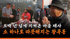 [로드다큐 만남 59-3] 오백년 넘게 지켜온 마을 제사 소 하나로 따뜻해지는 왕곡동