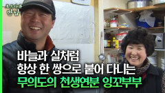[로드다큐 만남 73회⑥] 바늘과 실처럼 항상 한 쌍으로 붙어 다니는 무의도의 천생연분 잉꼬부부