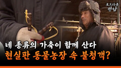 [로드다큐 만남 61-1] 네 종류의 가축이 함께 산다 현실판 동물농장 속 불청객?