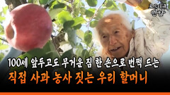 [로드다큐 만남 104-2] 100세 앞두고도 무거운 짐 한 손으로 번쩍 드는 직접 사과 농사 짓는 우리 할머니