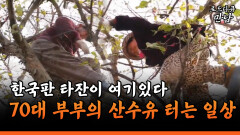 [로드다큐 만남 58-1] 한국판 타잔이 여기 있다 70대 부부의 산수유 터는 일상