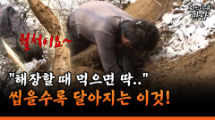 [로드다큐 만남 60-4] ＂해장할 때 먹으면 딱..＂ 씹을수록 달아지는 이것!
