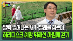 [건강버라이어티 올리브] 일찍 일어나는 새가 벌레는 잡는다! 허리디스크 예방 위해선 아침에 걷기