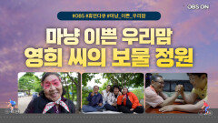 OBS 휴먼다큐 ′우리맘′ 다섯 번째 이야기
