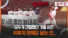 [돌아온 불타는 그라운드] 모두가 간절했던 가을 시즌 이루지 못해도 남는 건.. #가을야구 #이석모