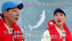 [선공개] (감동 주의) 박군, 멸종 위기 '토종 돌고래' 상괭이 최후의 서식지를 찾다!