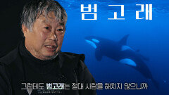 ‘8K 수중촬영 감독’ 김동식, 바다의 최상위 포식자 ‘범고래’의 매력