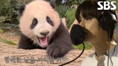 [스페셜] 푸바오와 할부지2 OST ‘NCT 정우 - 이젠 웃으며, 안녕’