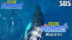 [4월 24일 예고] 일생일대의 행운! 바다 한복판에서 마주친 카리브해의 전설
