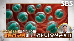 ‘갱년기 유산균 YT1’, 여성의 전신 건강 돕는 이유!