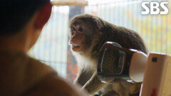 아픔을 숨기는 야생동물의 험난한 건강 검진의 날