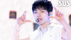 POSE - CLOSE YOUR EYES | SBS 260426 방송