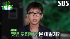 임영웅×현봉식×허경환, 조째즈의 마늘 향 섞인 ‘깻잎 모히토’에 두 눈 번쩍