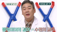 수명 확인할 수 있는 계기판, ‘텔로미어’의 길이 늘려주는 ‘NMN’ (더건강한스쿨)