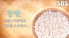 몸 차가운 체질의 ‘소음인’에게 보약 되는 잡곡! (닥터필생기)