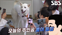 풍이에게 푹 빠져버린 팬 풍덩이와의 팬 미팅