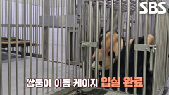 루이바오×후이바오의 새로운 보금자리 ‘판다 세컨드 하우스’ 공개