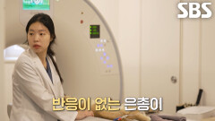 턱뼈 골절된 채 구조됐던 은총이 수술 진행
