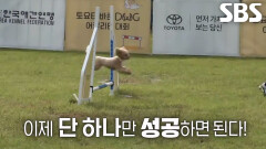 토리×한솔 씨, 서로를 향한 믿음으로 어질리티 완주 성공