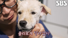 수술마저 어려웠던 은총이에게 찾아온 기적