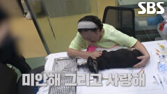 사랑과 고마움으로 채워준 순돌이와의 마지막 순간