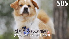 정혁, 운명처럼 나타난 똥개 ‘피그몬’과의 만남