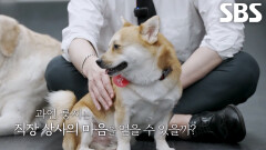 [11월 23일 예고] 돌배×룽지×활·기·체 삼 형제, 다사다난한 똥개들의 적응기!