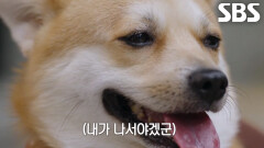 [11월 30일 예고] 멸망전 앞둔 T1 선수들에게 선사하는 룽지의 氣