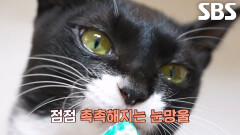 ‘신사냥’ 텐이의 눈물 젖은 간식 먹방↘