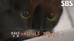 감사의 폭풍 눈물 쏟는 ‘텐이’의 진실↗