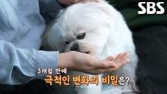 젠틀걸(?) 송이의 깜짝 놀랄 분리불안 해소법↗