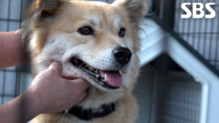 럭키, 깔끔하고 예뻐진 모습으로 환골탈태