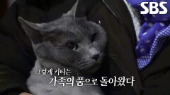 4일 만에 발견되고 애처롭게 엄마 부르는 ‘키티’