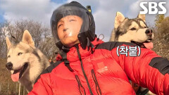 샤크×노을, 사륜바이크와 달리는 대도시 산책! (ft.시속 40km)