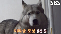 미라클 모닝 실천하는 샤크×노을 덕분에 강제 기상!