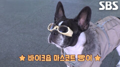 치명적인 매력보유자, 빵이의 특별한 이야기!