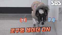 마음의 눈으로 세상을 보는, 빵이의 특기 대방출