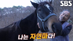 광덕이, 자연인과 함께 제2의 삶 즐기는 자연馬↗